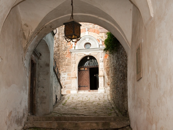 Grodno Castle