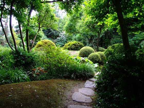 Fata Morgana Botanical Garden sale closed